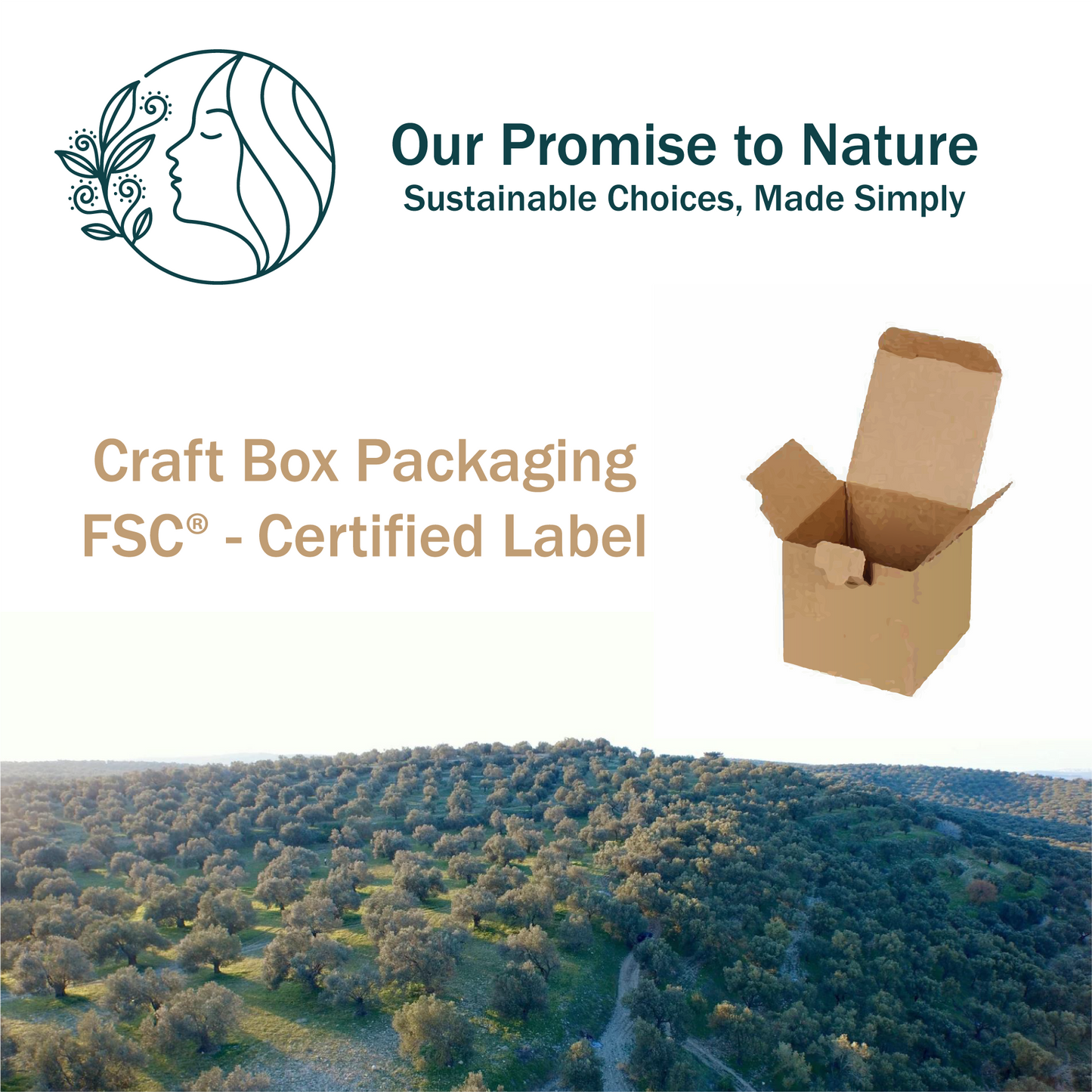 Marseille Soap Bar – 72% Virgin Olive Oil